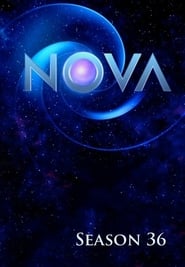 NOVA: Season 36