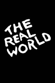 The Real World: San Diego