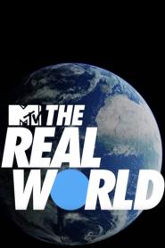 The Real World: Atlanta