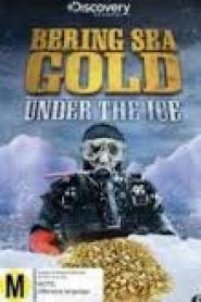 Bering Sea Gold: Season 8