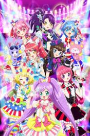 PriPara: PriPara