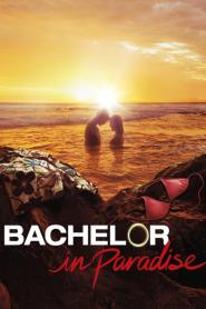 Bachelor in Paradise: Season 3