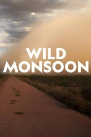 Wonders of the Monsoon: Season 1