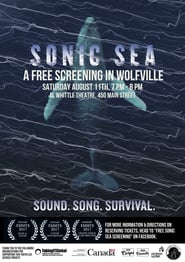 Sonic Sea