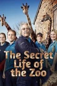 The Secret Life of the Zoo: Season 7