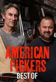 American Pickers: Best Of: Season 5