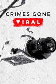 Crimes Gone Viral: Season 2