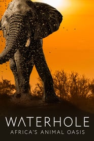 Waterhole: Africa