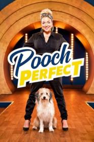 Pooch Perfect: Season 1