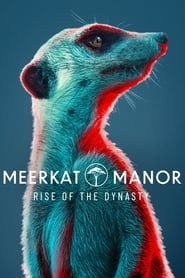 Meerkat Manor: Rise of the Dynasty: Season 1