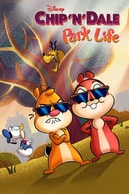 Chip