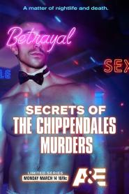 Secrets of the Chippendales Murders: Limited Series